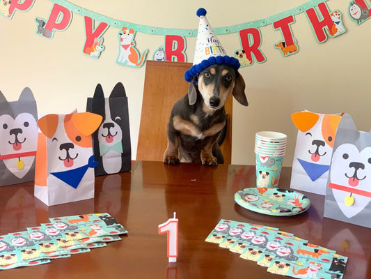 Kit de Fiesta Perritos