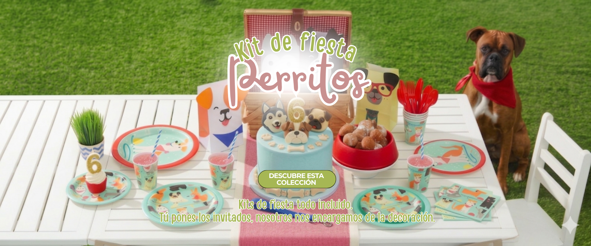Banner Galeria Rattan Fiesta perritos