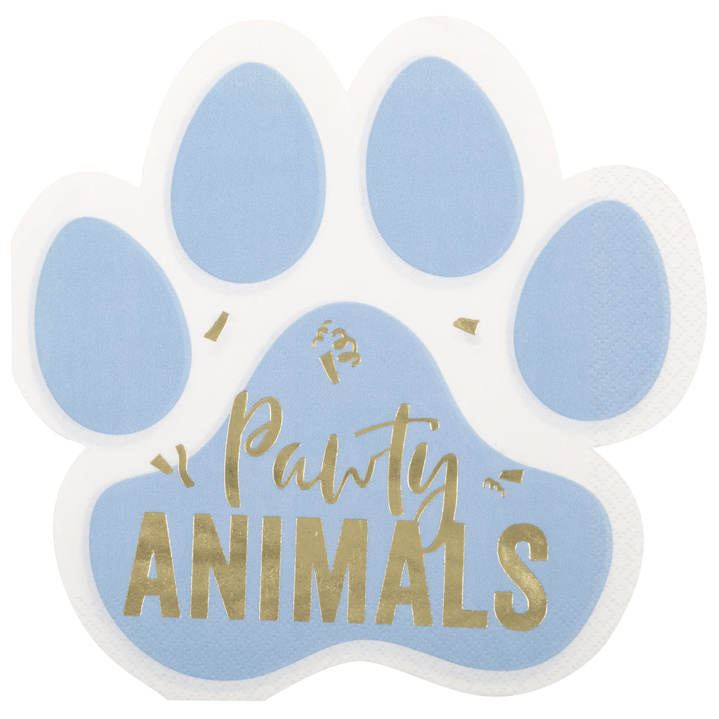 Kit Fiesta Perruna