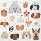 Kit Fiesta Perruna